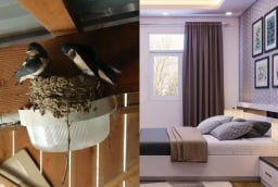 5 hiện tượng báo tin trúng lộc trời, nhà sắp đón tiền tài ùn ùn kéo đến