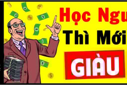 Vì sao nhiều người học dốt lại rất thành công trong cuộc sống: Hóa ra họ thông minh hơn bạn nghĩ