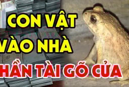 4 con vật Đệ Tử Thần Tài, vào nhà nào nhà đấy Tiền Tài nảy số