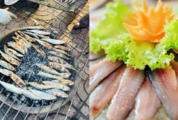 Loại cá này đầy chợ Việt, giá rẻ bằng 1/5 cá hồi nhưng cũng giàu omega, lại ít lo ngậm thủy ngân