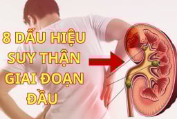 8 Dấu Hiệu Suy Thận Giai Đoạn Đầu: Phát hiện sớm cứu cả cuộc đời