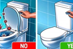 Nên đóng hay mở nắm bồn cầu sau khi dùng? 90% mọi người làm sai bảo sao nhà vệ sinh luôn bốc mùi
