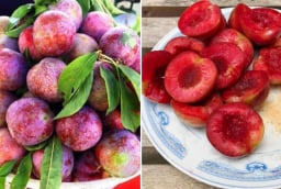 Ăn mận nhớ làm 4 điều này để không bị nóng trong, nổi mụn