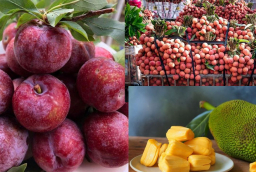 Ăn Vải, Mận, Mít có gây 'nóng trong' không, tại sao nhiều người bị 'nổi mụn' khi ăn?