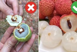 Cách chọn vải không bị sâu đầu, cùi dày, hạt nhỏ