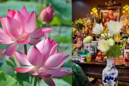 Thắp hương Hoa sen, chú ý 4 điều này tránh gây Sát khí, tổn hao Phúc Lộc, giữ trang nghiêm thờ cúng