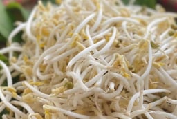 4 loại rau bổ hơn thịt, rẻ hơn thuốc, quý như nhân sâm – nhiều người bỏ qua mà không biết