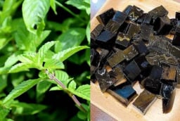 “Loại cỏ dại” bỗng thành đặc sản giải nhiệt mùa hè, giá 150.000 đồng/kg, trồng dễ lời cao khiến dân tình tranh nhau săn