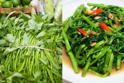Loại rau giá rẻ đang vào mùa được ví như 'nhân sâm bình dân' của người Việt: 5 lý do nên ăn thường xuyên