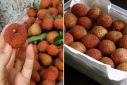 Bảo quản vải thiều theo cách này, để cả năm vẫn tươi ngon, không bị thâm vỏ