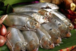 Thấy 7 loại cá này ở chợ phải mua ngay: Dinh dưỡng ngang nhân sâm, rẻ hơn tổ yến, lại không hóa chất