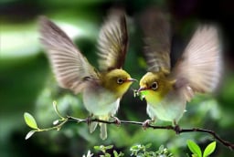 Người sinh vào 5 ngày Âm lịch này, như rượu lâu năm, trước nghèo sau giàu, tuổi cao vận may lớn