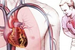 Vì sao tim ít khi bị ung thư? Lý do ít ai ngờ đằng sau sự “miễn nhiễm” đặc biệt của trái tim