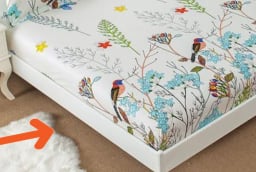 Người xưa nói: 3 thứ gưới Gầm Giường gia đình lục dục con cháu khó giàu. Là thứ gì?