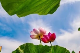 4 dấu hiệu cho thấy một gia đình sắp 'đổi vận': Nắm bắt đúng lúc, phúc khí tự đến