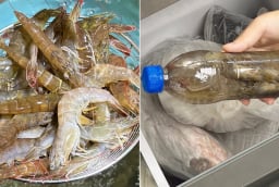 3 mẹo bảo quản tôm tươi lâu, để cả năm vẫn chắc và ngọt thịt