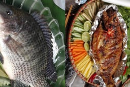 Cá rô phi – “gà nước” bình dân mà bổ xương khớp chẳng thua gì thuốc