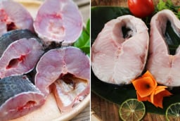 Vì sao cá thường có mùi tanh? Nhiều người chưa biết nguyên nhân thật sự