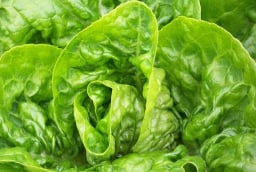 4 dấu hiệu vạch trần xà lách 'tắm' thuốc sâu, đừng thấy tươi ngon mà mua vội về