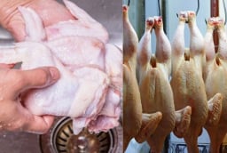 Nhiều người đang rửa thịt gà theo cách này, một sai lầm tai hại mà ít người chú ý
