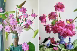 Mẹo cắm hoa sen nở căng, để cả tuần vẫn tươi rói, không bị rụng cánh