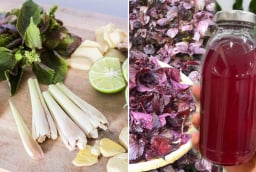 Nấu nước lá tía tô thêm chanh, gừng, sả: Cơ thể nhận được 6 lợi ích tuyệt vời, ai cũng cần
