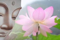 Phật dạy, gia đình chỉ cần có thứ này sẽ ngày càng thịnh vượng, phúc khí tràn trề