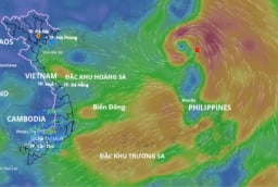 Cập nhật thời tiết hôm nay 20/7: Bão Wipha diễn tiến ra sao, gây mưa dông dữ dội thế nào?