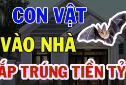 4 con vật Đệ Tử Thần Tài Vào Nhà Trúng Số Phát Tài: Giàu có sau 1 đêm