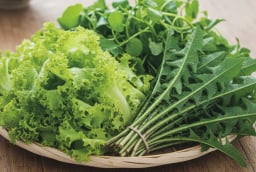 3 loại rau rẻ như cho ở Việt Nam bất ngờ lọt top thế giới – mọc hoang cũng thành “kho báu dinh dưỡng”