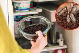 7 cách khử mùi hôi tủ lạnh bằng nguyên liệu tự nhiên, an toàn