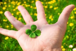 7 dấu hiệu cho thấy tiền bạc đang đổ về phía bạn, đừng bỏ qua cơ hội vàng hiếm có này