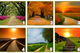 Quiz: Con đường bạn chọn sẽ nói lên sự thành công của bạn trong tương lai?