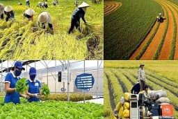 Từ năm 2026 đến 2030: Những trường hợp được miễn thuế sử dụng đất nông nghiệp người dân cần biết