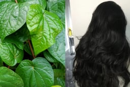 Lấy 5 loại lá này đun nước gội đầu, thấy rõ tóc giảm rụng, tóc con mọc không ngừng
