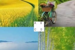 Trắc nghiệm tâm lý: Chọn một con đường bạn muốn đi để khám phá vận mệnh của bạn trong nửa sau cuộc đời