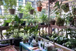 4 dấu hiệu vận may sắp đến nhà bạn, chỉ cần gặp 1/4 cũng xin chúc mừng