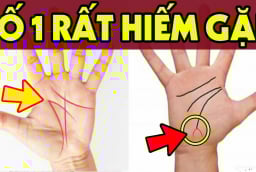 Bàn tay có 3 đặc điểm này cả đời sống trong nhung lụa, cực kỳ giàu có