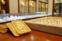 Giá vàng hôm nay 31/1/2026: Lao dốc gần 20 triệu đồng chỉ sau 2 ngày, nhà đầu tư choáng váng