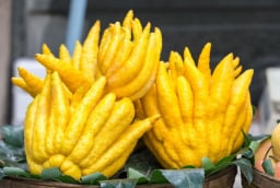 Cách chọn quả Phật Thủ thắp hương ngày Tết đúng chuẩn, hút lộc vào nhà