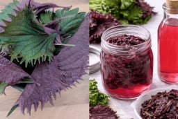 Cách làm giấm tía tô chỉ cần 2 nguyên liệu, vừa thơm ngon, lạ miệng, vừa tốt cho tiêu hóa