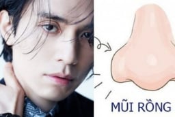 4 tướng mũi của người đa tài già có