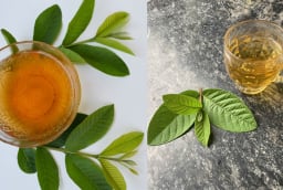 Cách uống nước lá ổi giúp eo thon, tiêu mỡ bụng, giảm cân