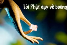 Để tâm hồn thanh thản, an yên, hãy buông bỏ 10 điều cố chấp trong đời