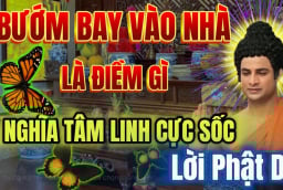 3 dấu hiệu vào buổi tối chứng tỏ nhà bạn sắp may mắn lớn về tiền tài, công danh