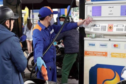 Giá xăng dầu hôm nay 12/3: Xăng dầu trong nước đồng loạt giảm