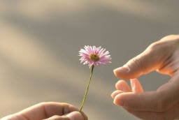 Quý nhân chờ sẵn phía trước: 3 cung hoàng đạo chỉ cần chăm chỉ và biết lắng nghe sẽ sớm hóa giải khó khăn