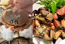 Cúm núm Quảng Ngãi: Đặc sản cua lạ “nhỏ mà ngon”, ai ăn thử cũng nhớ