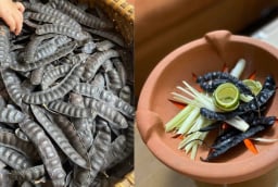 Cách xông bồ kết đuổi âm khí, loại bỏ xui xẻo, mang lại may mắn