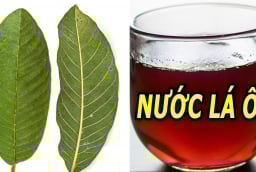 5 người nên thường xuyên uống nước lá ổi